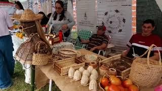  11°EDICION DE LA FERIA DEL LIBRO EN CAA CATI