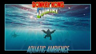 Donkey Kong Country - Aquatic Ambience Neon X remix