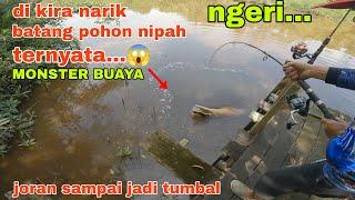 Ngeri...mancing Toman strike buaya besar.@anakkalbar66