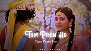 Tum Prem Ho - Surya Raj Kamal  Lofi Editz  Slowed + Reverb