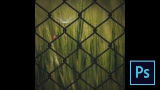 Photoshop Manipulation Tutorial -  Ladybug On The Metal Fence
