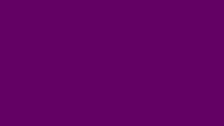 Plum color #660066 HD Сливовый цвет