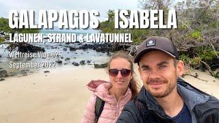 Galapagos  Isabela - Lagunen Strand & Lavatunnel • Weltreise Vlog 025