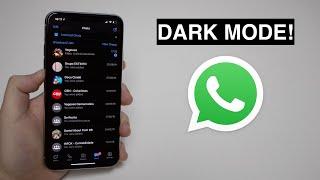 DARK MODE in WhatsApp How to Enable It