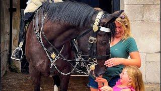 Unbelievable Horse Pranks Tourists with Hilarious and Smashing Comedy