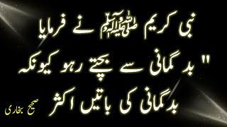 Badgumani Se Bacho  Sahih Bukhari Hadees  Hadees Sharif  Hadith  Hadees Nabvi #hadees