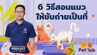 PODCAST Pet Talk  EP.1 - 6 วิธีสอนแมว ให้ขับถ่ายเป็นที่