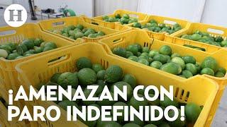 ¡Exigen acciones del gobierno Productores de limón piden ayuda urgente ante aumento de extorsiones