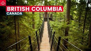 Canada Road Trip Best Things To Do In British Columbia