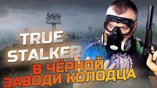 В ЧЁРНОЙ ЗАВОДИ КОЛОДЦА  True Stalker  Серия 11