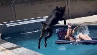 THE FUNNIEST DOG FAILS EVER  DOG FAIL COMPILATION  WIDOFAILS