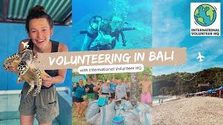 VOLUNTEERING IN BALI - the BEST decision of my life  sea turtle conservation with IVHQ pt 1