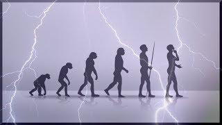 The Evolution Of Humans  Science Full Documentary
