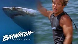 SHARK ATTACKS Cody Whilst Out On His Surf Board Baywatch Remaster