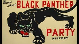 Panther 1995 Full Movie + Huey 1968 film by The Black Panthers