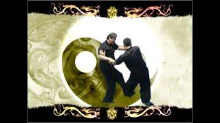 Traditional Wu Style Tai Chi Chuan - Essential fundamentals basic push hands & demonstrations