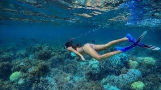 BEST SNORKELING IN THE WORLD  MALDIVES