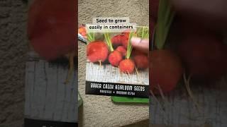 How to grow carrots in containers?  #springtime #gardening #containergardening  #homegrown #carrot