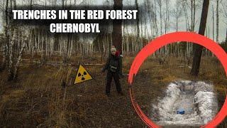 Trenches in the Red Forest of Chornobyl what radiation is there