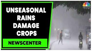 Unseasonal Rains Damage Crops Production To See Sharp Decline  Weather Update  News Centre