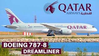 QATAR AIRWAYS BOEING 787-8 ECONOMY  Doha - Nice
