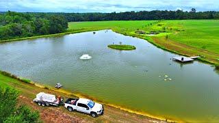 Adding 10000 Fish to the 5 Acre Pond