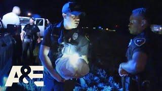 Live PD Most Viewed Moments from Lafayette Louisiana Police Department  A&E