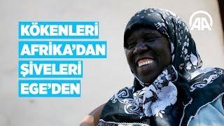 Kökenleri Afrikadan şiveleri Egeden