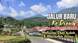 JALUR BARU KE DIENG VIA BATANG - REBAN - PACET - GERLANG melintasi Desa Indah dan membelah Hutan