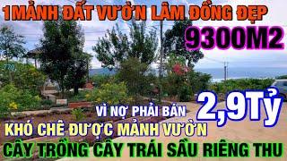 ĐÃ BÁN rẻ mảnh đất vườn đẹp vì nợ 9300m2 cây trồng cây trái sẵn thu đường ôm đất Lh 0379.590.939