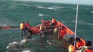 Tàu cứu hộ Phú Quý nhanh chóng cứu 12 ngư dân gặp nạn Phú Quý