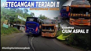 Tikungan muria memaksa dua driver bus saling adu skil  terpaksa lewat sisi paling curam