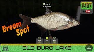 Russian Fishing 4 - ENDEESPRU - Old Burg Lake - Bream Spot - #407