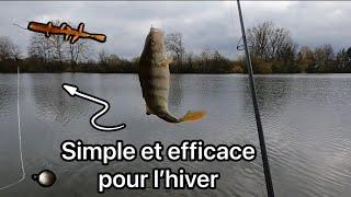 Une technique de pêche efficace en hiver perche et brochet