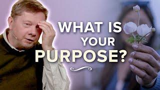 What Is the Main Purpose in Life?  Eckhart Tolle