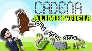 CADENA ALIMENTICIA - Productores consumidores y descomponedores