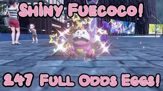 Shiny Fuecoco after 247 Full Odds Eggs - Pokemon Violet Badge Quest Complete