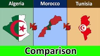 Algeria vs Morocco vs Tunisia  Comparison  Datadotcom