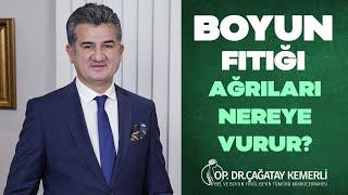 BOYUN FITIĞI AĞRILARI NEREYE VURUR?