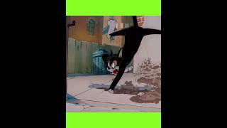 Fun moment_ with Tom_ and _Jerry 