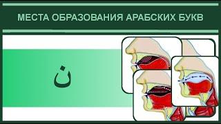 11. Места образования ن нун  Айман Сувейд русские субтитры