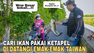 Rejeki Nomplok.. Dapat Ikan Gabus Babon Di Datangi Emak-Emak Taiwan