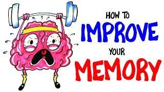 How To Improve Your Memory RIGHT NOW