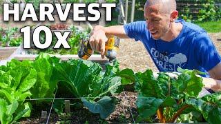 7 Brilliant Methods to Grow TONS of Food in a TINY Garden