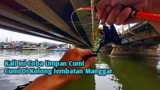 Mancing Umpan Cumi