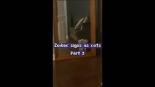 The zodiac signs as cats All parts