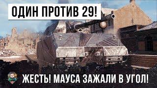 ШОК ОДИН ПРОТИВ 29 МАУСА ЗАЖАЛИ В УГОЛ ТОЛПОЙ ЗАГНАНЫЙ ЗВЕРЬ ОПАСЕН ВДВОЙНЕ