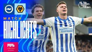 HIGHLIGHTS  Brighton v Wolves  Premier League