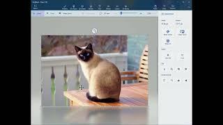 Remove Background from a Photo using free Paint 3D