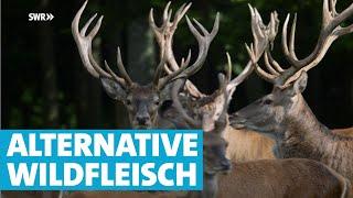 Wildfleisch - eine gute Alternative zu Fleisch aus Massentierhaltung